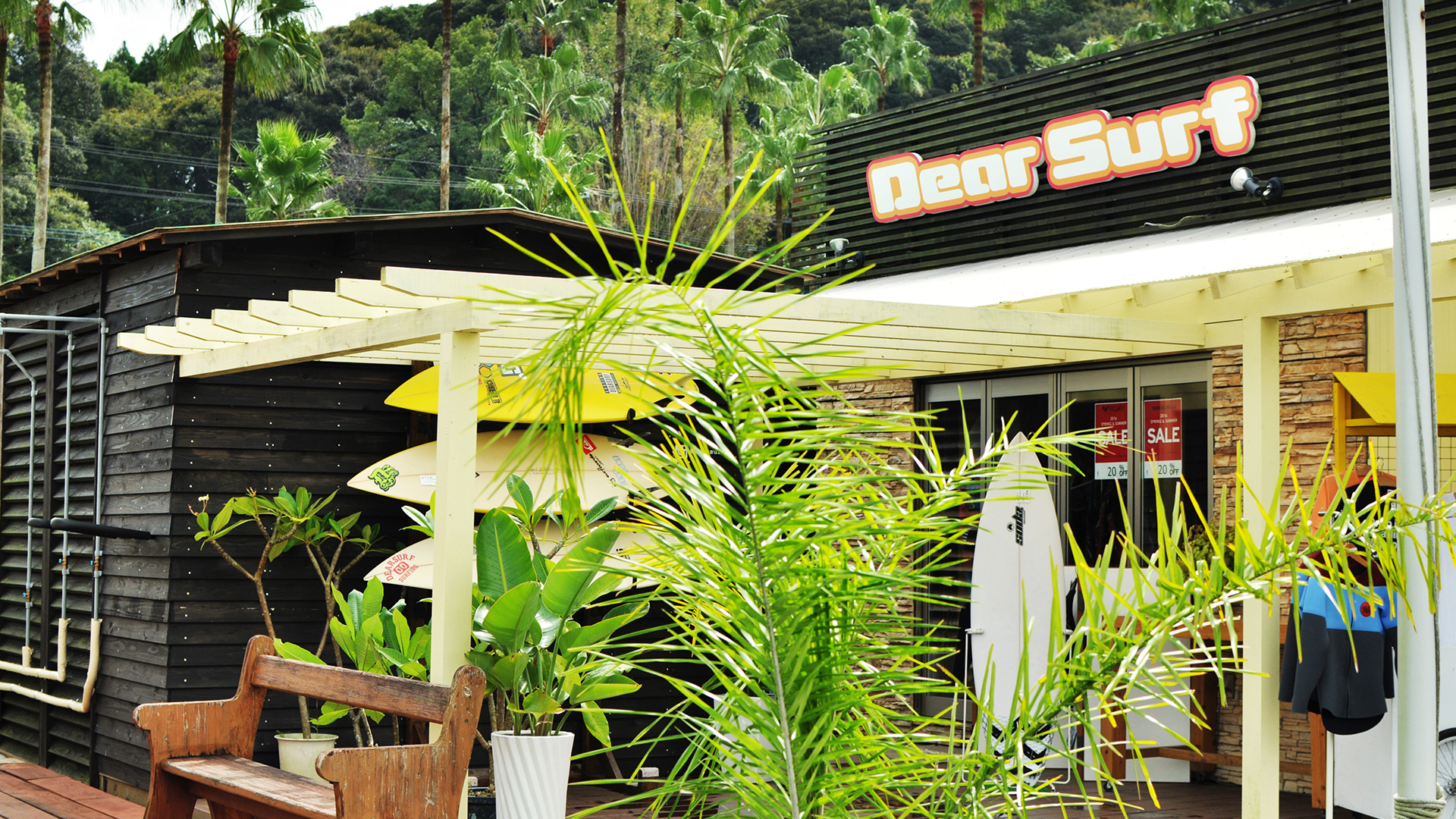 dearsurf