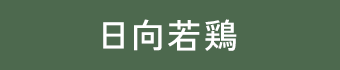 日向若鶏