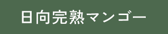 日向完熟マンゴー