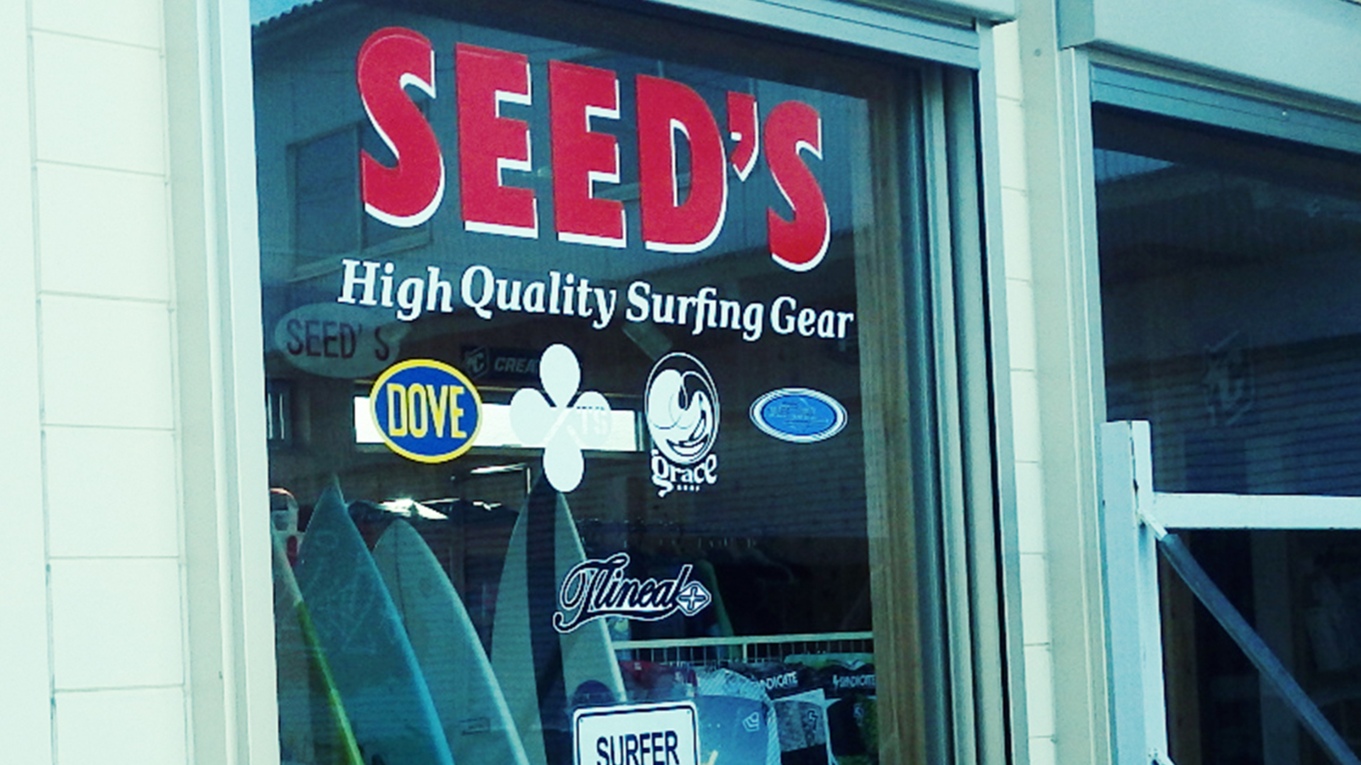 SEED'S